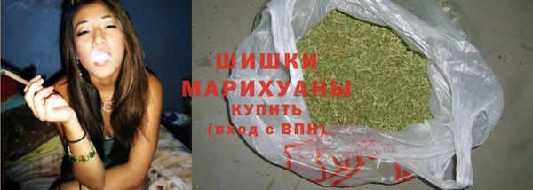 бошки Богданович