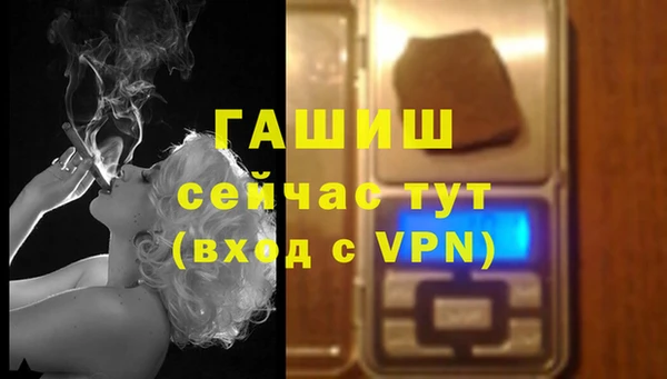 дурь Бородино
