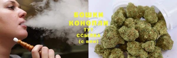 бошки Богданович