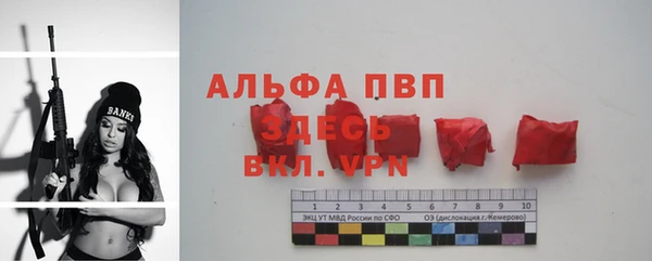 дурь Бородино