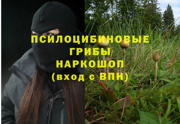 кокаин Богородицк