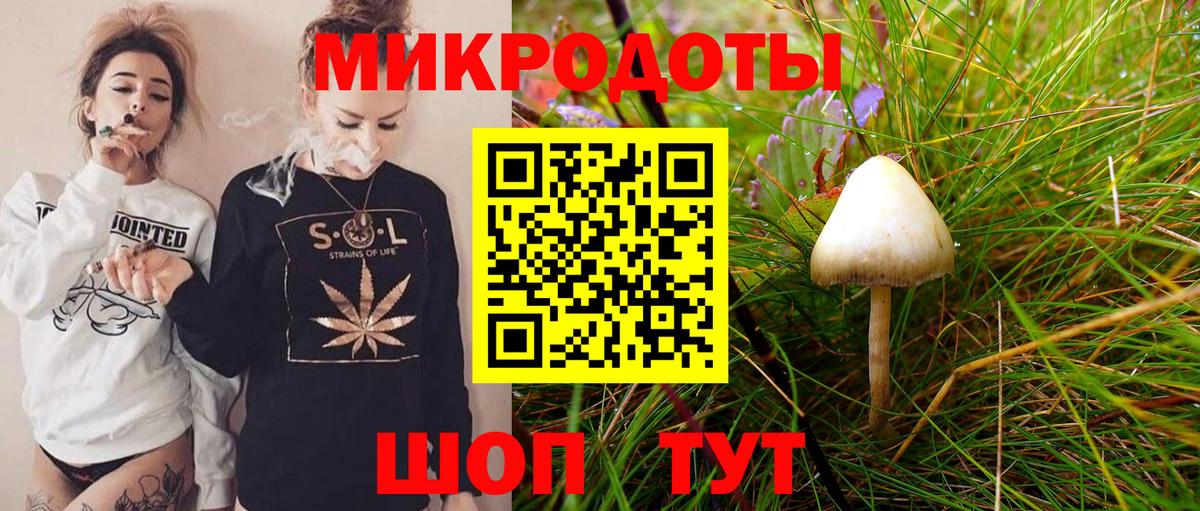 Славгород  Галлюциногенные грибы GOLDEN TEACHER  Галлюциногенные грибы Cubensis  Вход с VPN 