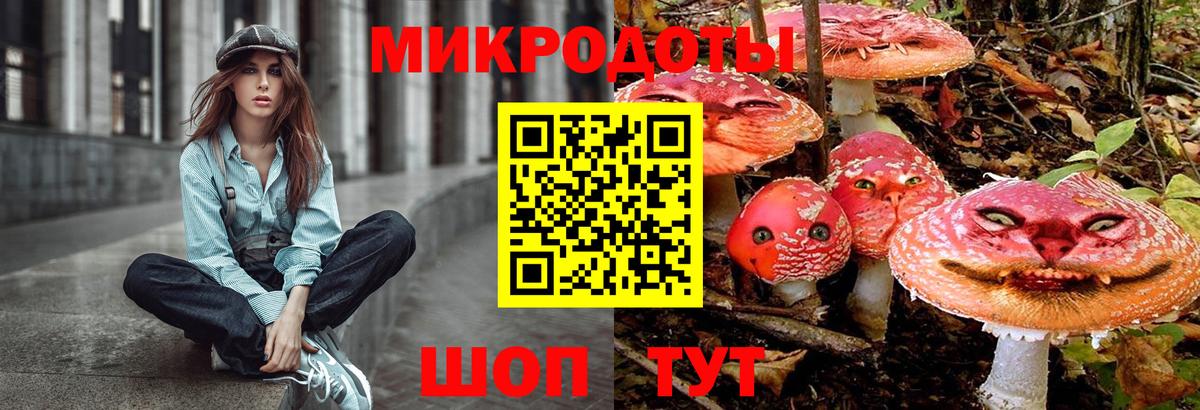 Псилоцибиновые грибы мухоморы Славгород